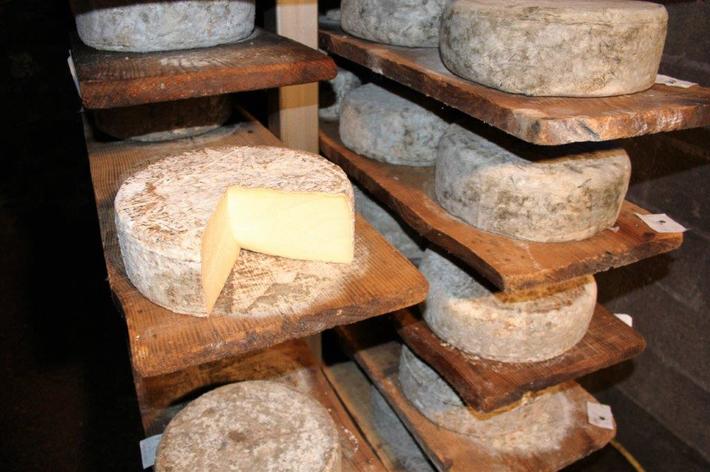 Fourme de Rochefort