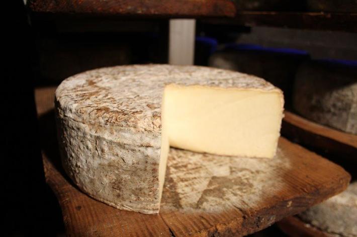 Fourme de Rochefort