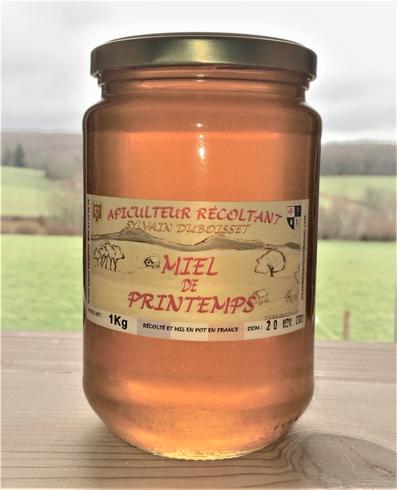 Miel de printemps 1Kg