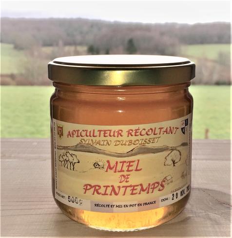 Miel de printemps 500g