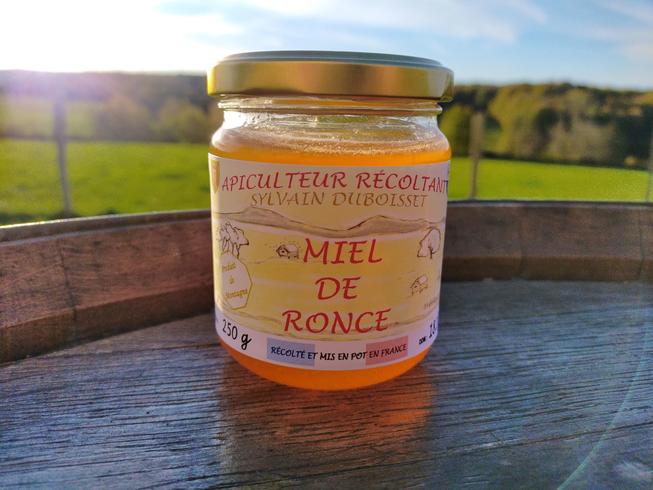 Miel de ronce 250g